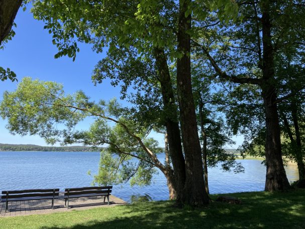 Ruhe am See mit Bänken unter Bäumen und klarem blauen Himmel.