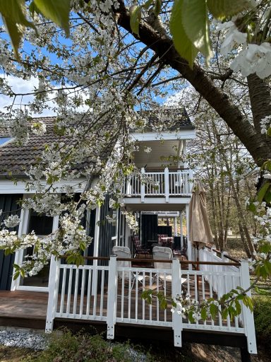 Weiß blühender Baum vor einem Holzhaus mit Terrasse und Möbeln im Freien.
