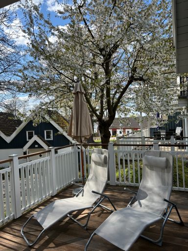 Gartenterrasse mit zwei Liegestühlen und blühendem Baum im Hintergrund.